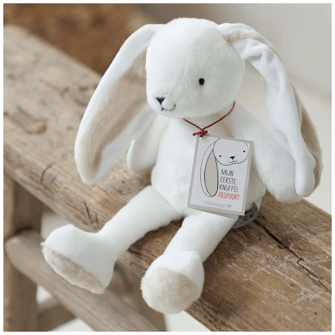 Prénatal Knuffel My First Bunny White 4 Prénatal Knuffel My First Bunny White - Afbeelding 4