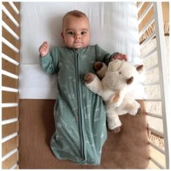 Prénatal Slaapzak Onderwater Rib Groen 8 Prénatal Slaapzak Onderwater Rib Groen -Prenatal 1471750040 4 6B6B5C4565783C7DE8848BBBA5227079 4