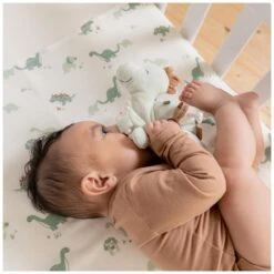 Prénatal Activiteitenspeeltje Dino Midgreen -Prenatal 1525510040 3 AD919B24B8461EB2A2075B16B64C48FB