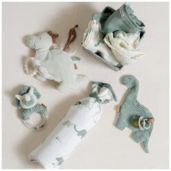 Prénatal Activiteitenspeeltje Dino Midgreen -Prenatal 1525510040 4 2A42969C354778023464687F9CB3BEF9