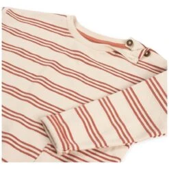 Prénatal Peuter Shirtstrepen Multi 5 Prénatal Peuter Shirtstrepen Multi -Prenatal 1544450349 3 BBBB1A11FEFE37CDDCF8AA715F77BC7C